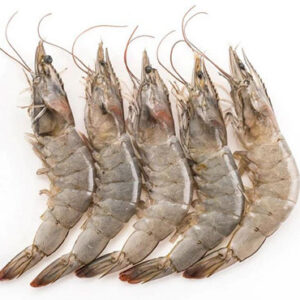 Rock Shrimp